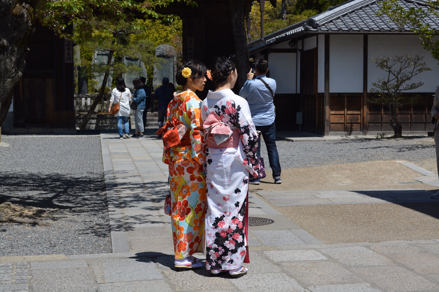 blog